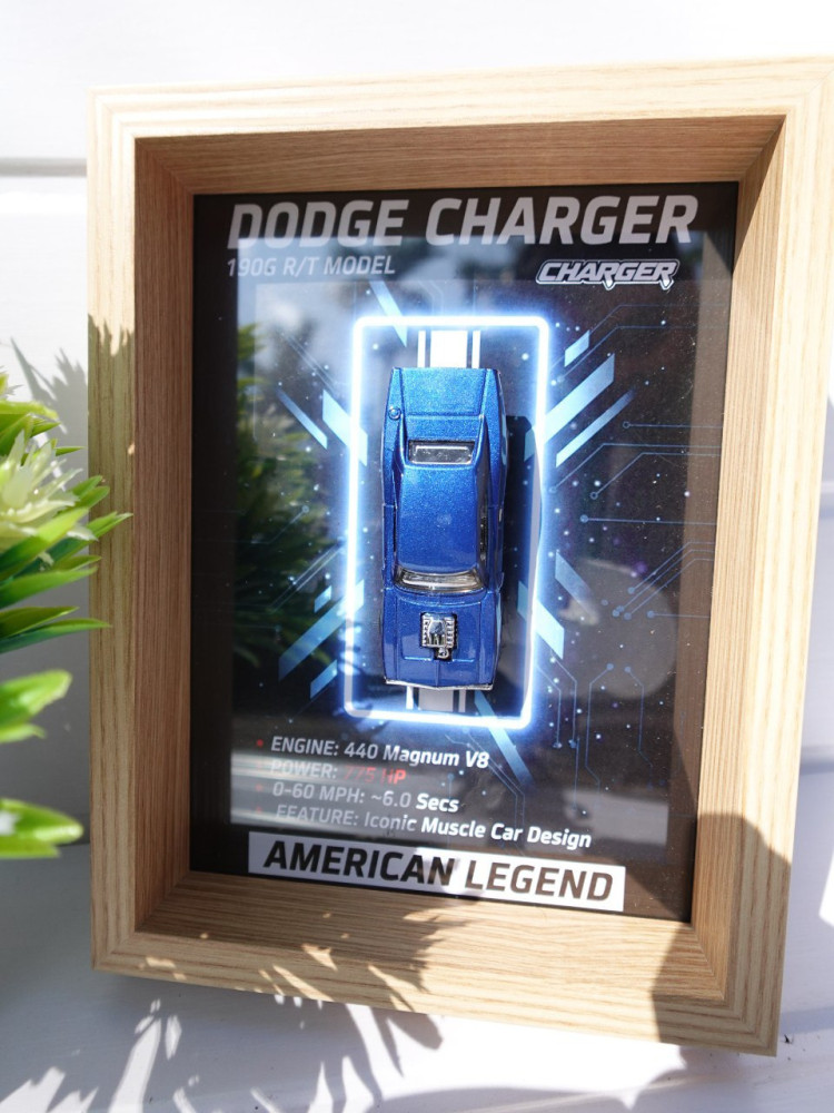 Demanded Item: Premium 3D Car Frame & Surprise Gift Combo