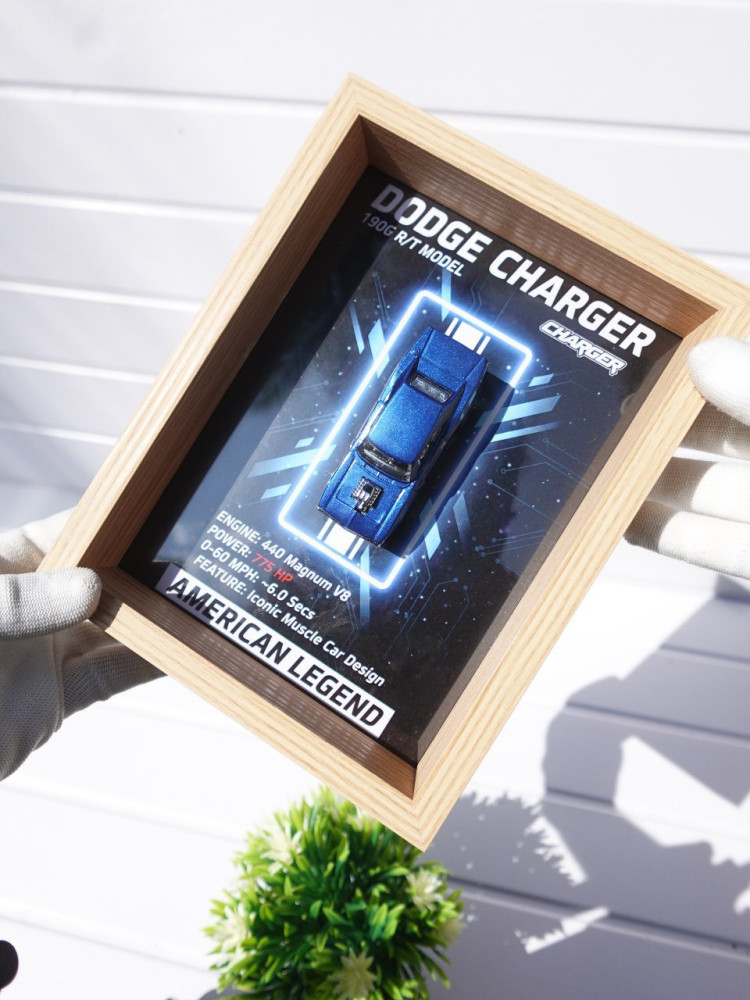 Demanded Item: Premium 3D Car Frame & Surprise Gift Combo