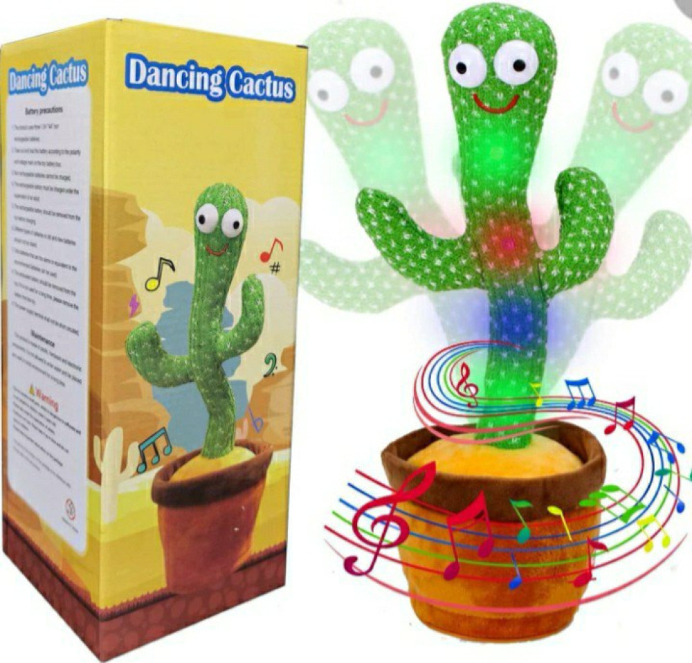 Introducing the Groovy Cactus! (TQ05)