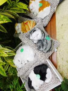 Trending Special Combo - Premium Girls' Chain Watch with a Sleeping Cat Toy