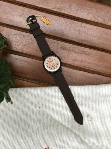 Stylish and Affordable Analog Watches(WQ374)